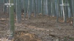 <b>特别对食物平安可能没有什</b>